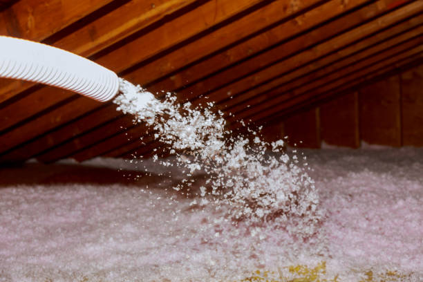 Types of Insulation We Offer in Miami, FL